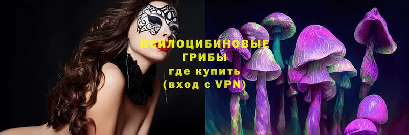 Псилоцибиновые грибы MAGIC MUSHROOMS  продажа наркотиков  гидра зеркало  Воскресенск 